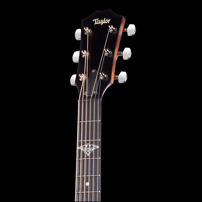 Taylor Last of Us Replica 314c Acoustic Guitar Headstock