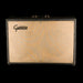 Vintage 1969 Gretsch Model 6162 Tremolo Reverb Guitar Amp Combo Gray