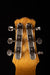 Pre Owned Asher Dual Tone Lap Steel With Case