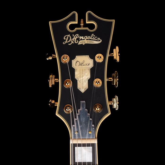 Pre-Owned D’Angelico Deluxe DLX-175 Hollow Body Matte Midnight With OHSC