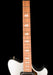Powers Electric A Type Hardtail Dolomite Silver with Softshell Case