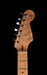Used Fender Limited Edition Player Stratocaster Roasted Maple Seafoam Green