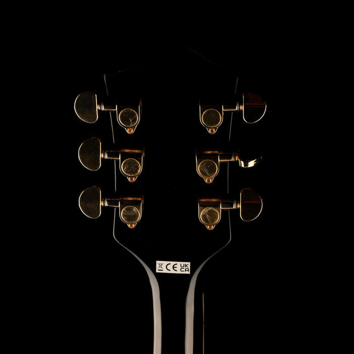 Pre Owned Gretsch G2627T-DC 3-Pickups With Bigsby With Gig Bag