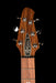 Powers Electric A-Type Select Wild Honey Burst Firestripe Pickguard With Softshell Case