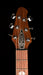 Powers Electric A-Type Amethyst Pearl Metallic with Softshell Case