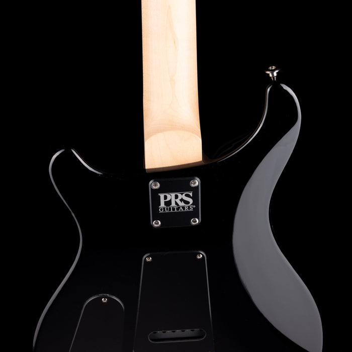 PRS Swamp Ash Special Rosewood Jasper Smokeburst with Gig Bag