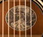 Pre Owned Collings Custom C10 Deluxe Doghair with Case