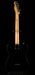 Used Fender Standard Tele Maple Neck Black