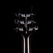 Pre Owned 2024 PRS SE Hollowbody II Piezo Orange Tiger Smokeburst With OHSC