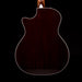 Taylor Limited Edition 414ce-R Lily & Vine Tobacco Shaded Edgeburst with Case - Only 100 Made