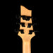 Used Schecter Elite C-6 Aqua Burst Electric Guitar With Gig Bag
