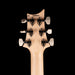 PRS Swamp Ash Special Rosewood Jasper Smokeburst with Gig Bag