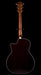 Taylor Limited Edition 414ce-R Lily & Vine Tobacco Shaded Edgeburst with Case - Only 100 Made
