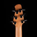 Powers Electric A-Type Select Desert Dawn with Soft Case