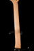Baum Guitars Original Series Wingman Pure Black Black with Case