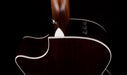 Taylor Limited Edition 414ce-R Lily & Vine Tobacco Shaded Edgeburst with Case - Only 100 Made