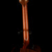 Pre Owned R. Taylor Style 1 Acoustic-Electric Guitar With Gig Bag