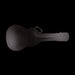 Used 2018 Taylor 314ce-N Natural Acoustic Electric Guitar with OHSC
