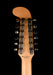 Pre Owned Fender Electric XII Lake Placid Blue With Gig Bag
