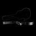 Pre-Owned Silvertone 1446V Black with Case