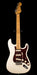 Used Fender American Professional II Stratocaster Olympic White with OHSC