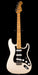 Used Fender Nile Rodgers Hitmaker Stratocaster Olympic White with OHSC