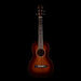 Pre Owned Martin Custom Shop Model 5-15 Size 5 Terz Acoustic Guitar With OHSC
