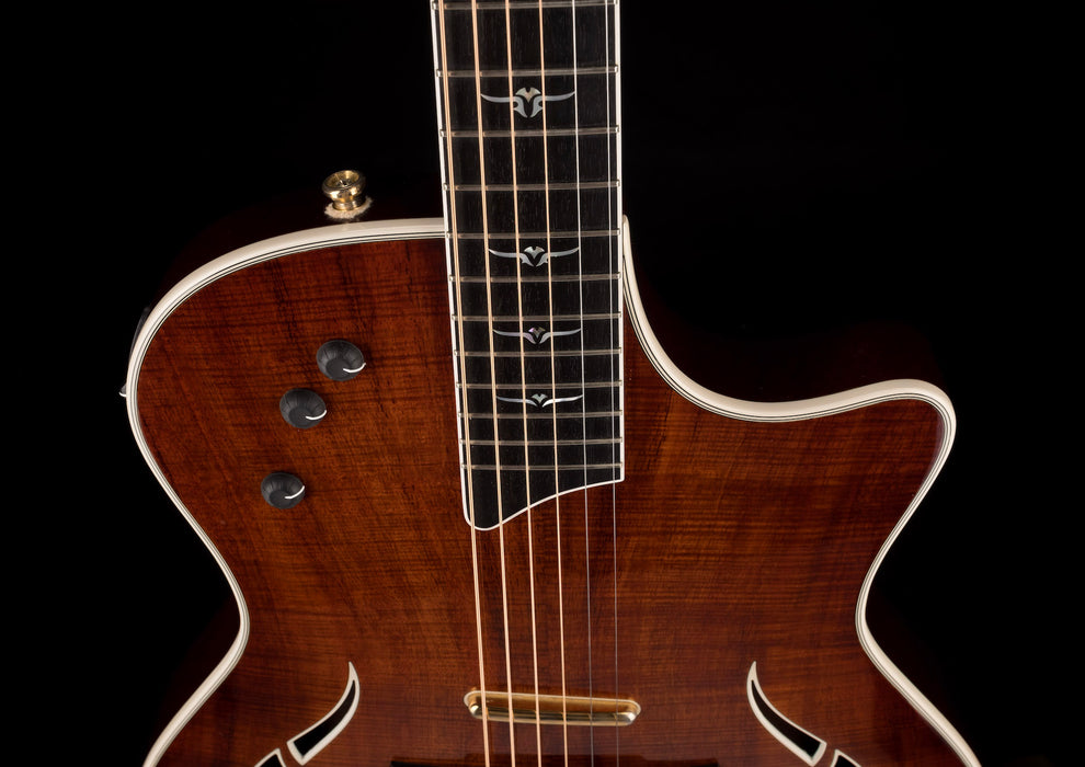 Pre Owned Taylor T5 C-2 Custom Koa With OHSC