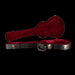 Used Taylor T5z Acoustic Guitar Case Brown