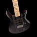 PRS SE Swamp Ash Special Charcoal with Gig Bag