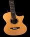 Taylor Custom Grand Auditorium C14ce Torrefied Sitka Spruce and Indian Rosewood - Catch Event # 6 - with Case