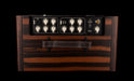 Taylor Limited Edition Custom Grand Concert C22e with Circa74 AV150-10 Amp - Catch # 25