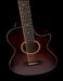 Used Taylor 562CE 12-string Acoustic Guitar With OHSC