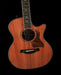 Taylor 50th Anniversary Builder's Edition 814ce LTD Acoustic Electric Guitar With Case