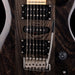 PRS SE Swamp Ash Special Charcoal with Gig Bag