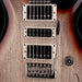 PRS Swamp Ash Special Rosewood Jasper Smokeburst with Gig Bag