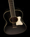 Pre Owned Collings Custom C10 Deluxe Doghair with Case