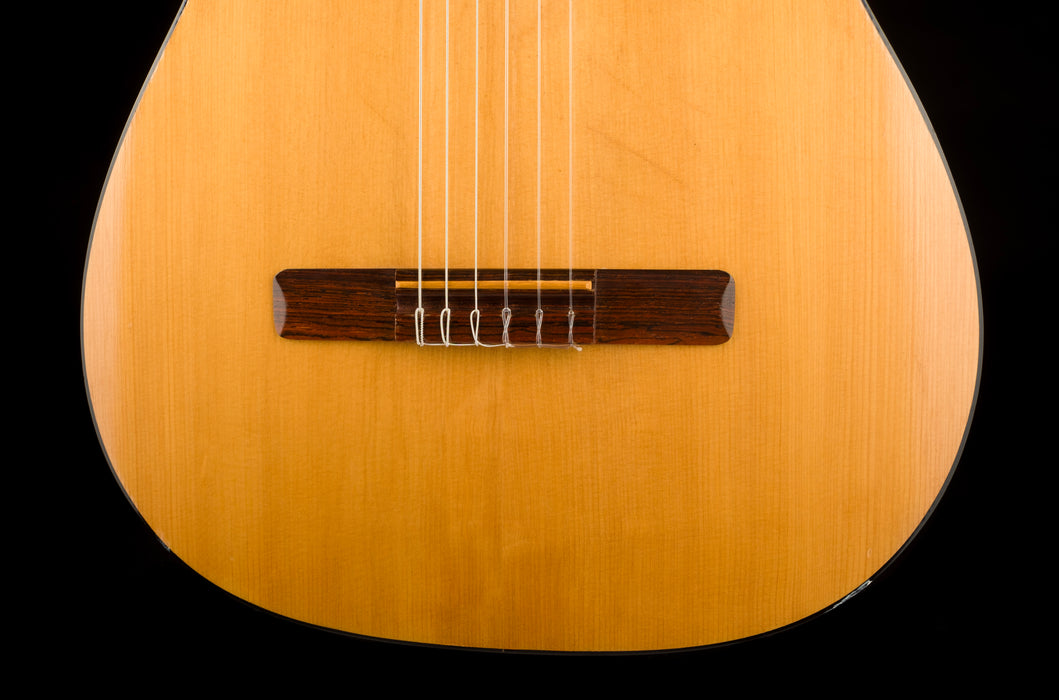 Used Goya G-10 Classical Guitar with Case.
