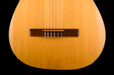 Used Goya G-10 Classical Guitar with Case.