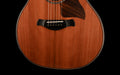 Taylor 50th Anniversary Builder's Edition 814ce LTD Acoustic Electric Guitar With Case