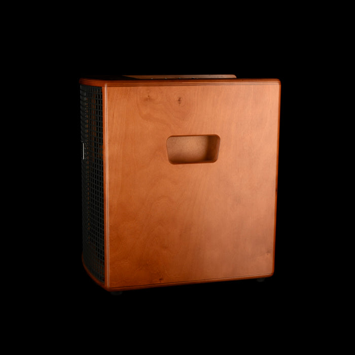 Pre Owned Schertler Jam 150 Acoustic Amplifier and Portable PA System with Carrying Case