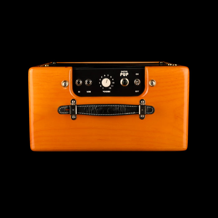 Dexter Pup 5-Watt Guitar Amp Combo With Tuki Cover