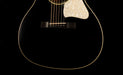 Pre Owned Collings Custom C10 Deluxe Doghair with Case