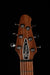 Powers Electric A-Type Satin Black with Softshell Case - Demo
