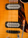Powers Electric A-Type Select Wild Honey Burst Firestripe Pickguard With Softshell Case
