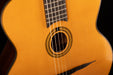Pre Owned 2014 Dupont MD50R Gypsy Jazz Guitar Natural With HSC