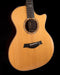 Taylor Custom Grand Auditorium C14ce Torrefied Sitka Spruce and Indian Rosewood - Catch Event # 6 - with Case