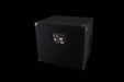 Used SWR WorkingMan's 1x10T Bass Amp Cabinet