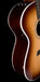 Taylor Limited Edition 414ce-R Lily & Vine Tobacco Shaded Edgeburst with Case - Only 100 Made