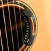 Pre Owned R. Taylor Style 1 Acoustic-Electric Guitar With Gig Bag